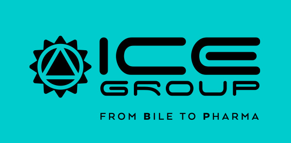 ICE Group